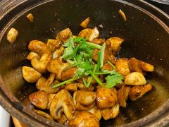 炒包菜-铁公鸡·四川料理(天环广场店)