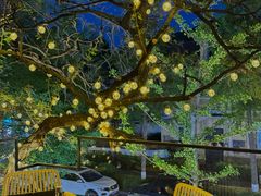 -LAMP BAR 水烟音乐酒吧