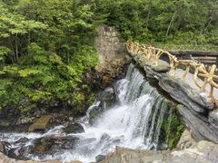 -凤凰山国家森林公园