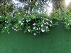 -UNI UNI(环亚凯瑟琳店)