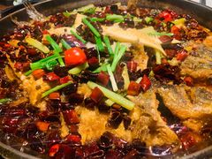 老板恋上鱼-老板恋上鱼(环山路店)