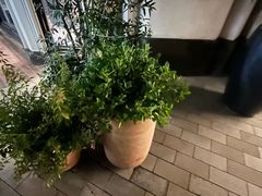 -比斯特上海购物村精品奥特莱斯
