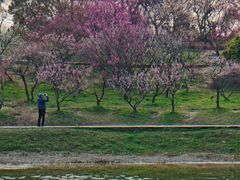 -无锡梅园公园