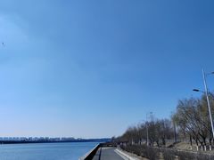 -丁香湖公园