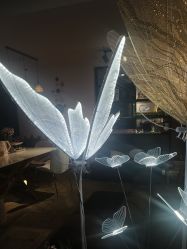 -S庆熙美学皮肤管理