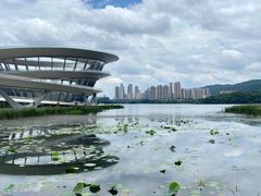 -梅溪湖城市岛