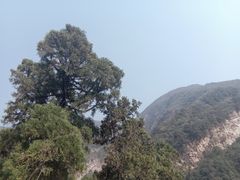 -北京上方山国家森林公园