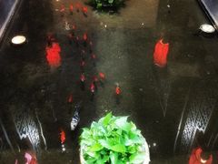 -松鹤楼(月坛店)