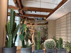 -蜜桃餐厅·伴山(湖滨商业街店)