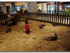 4层小香猪窝-远洋未来广场(育慧北路店)