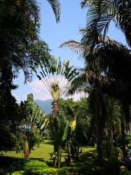 -Bollins波林丝•专研护发中心