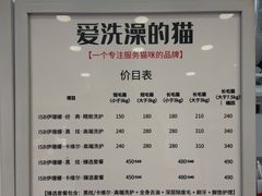 -爱洗澡的猫(望京店)