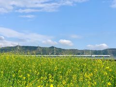 -光明小镇欢乐田园