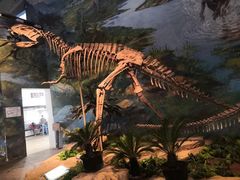-自贡恐龙博物馆