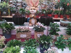 -秦美花卉(天朗·莱茵小城2期店)