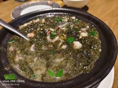 -新悦·霞浦海鲜生(上下杭店)
