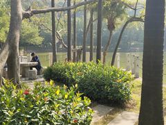 -西樵山风景名胜区-天湖公园