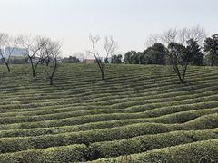 -敬亭山风景名胜区