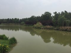 -白鹭湾湿地公园