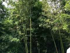 -王家大院