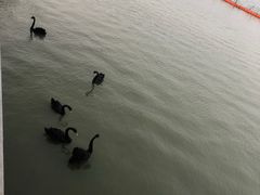 -天津东丽湖风景区