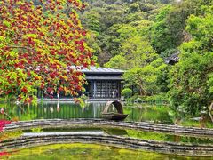 -云溪植物园