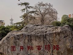 -洛阳市牡丹公园