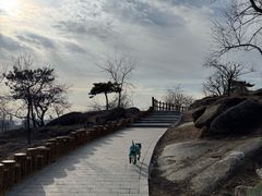 -白水寺森林公园