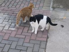 -防灾科技学院(南校区)