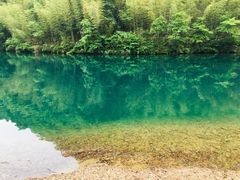 -祁门牯牛降观音堂风景区
