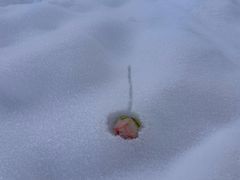 -丝绸之路山地度假区滑雪场