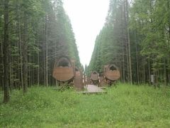 -黄海国家森林公园