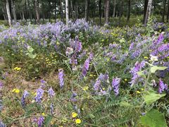 -汉长安城未央宫国家考古遗址公园