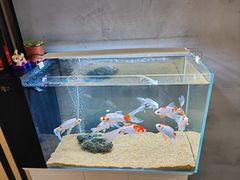 -小怪兽健身(宗关店)