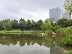 -美兰湖景区