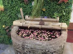 -大理董·董家小厨野生菌火锅(古城旗舰店)