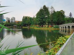 -四海公园(南山区)
