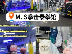 -M.S拳击泰拳馆(大学路店)