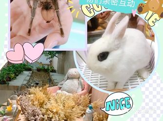 夏日遛娃实用攻略，来以小宠物们亲密互动