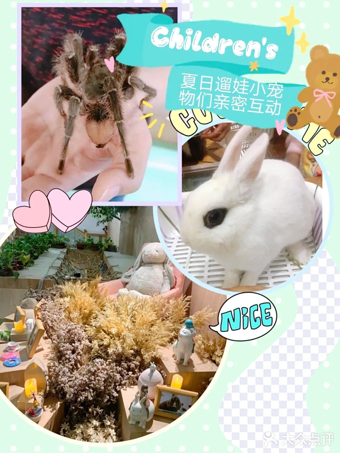 夏日遛娃实用攻略，来以小宠物们亲密互动