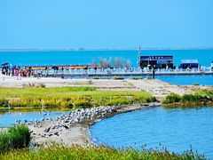 -青海湖国家重点风景名胜区