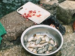 -靖西鹅泉风景区