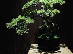 -老太原菜馆(南宫店)