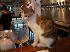 -Liberty Brewing Co·曼哈顿餐吧
