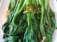 -初心烧鹅(粤华店)