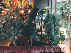 -咖法森林·咖啡  酒吧(天河店)