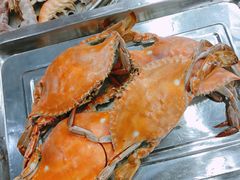 -烁佳海鲜大馅饺子