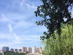 -大厝宅海鲜馆