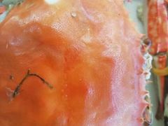 -沿海渔家院海鲜烧烤·东北菜(东戴河店)