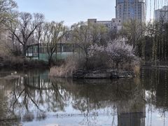 -北京动物园-畅观楼